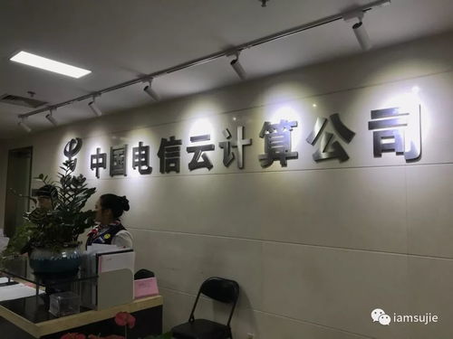 2021年末企業(yè)信息技術(shù)咨詢服務(wù)與產(chǎn)品相關(guān)培訓(xùn)咨詢雙輪驅(qū)動(dòng)，助力數(shù)字化轉(zhuǎn)型